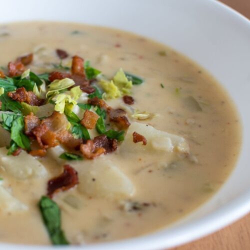 New England clam chowder