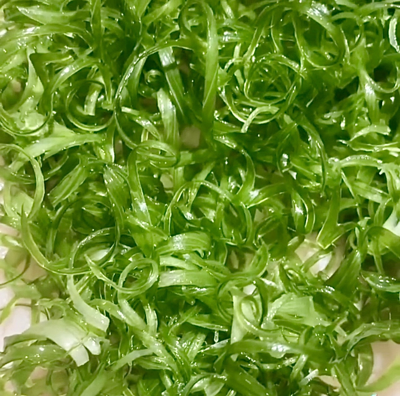 Scallion Curls
