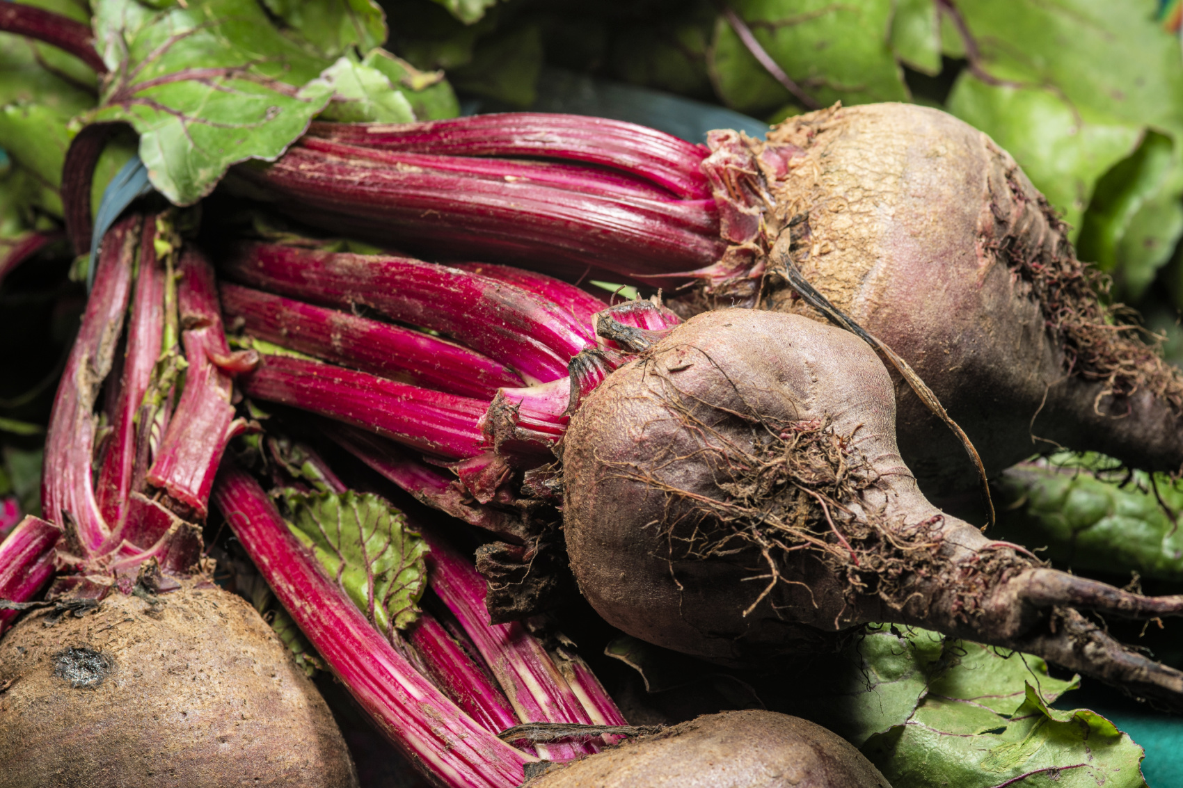 Beets