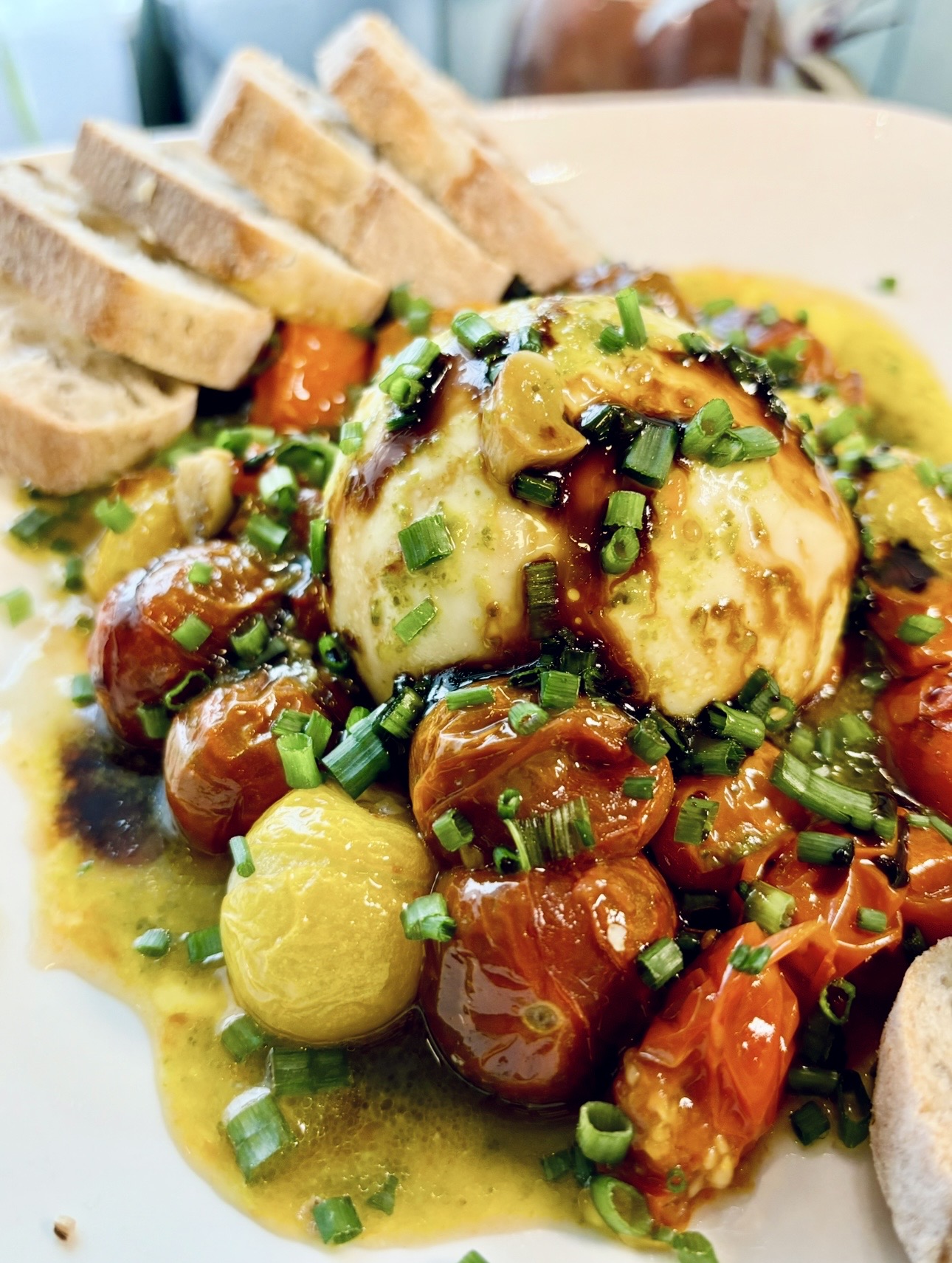 Basil Pesto Burrata & Roasted Cherry Tomatoes